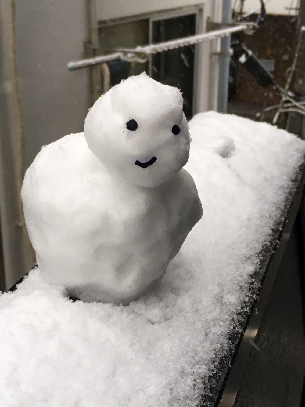 Made a snowman