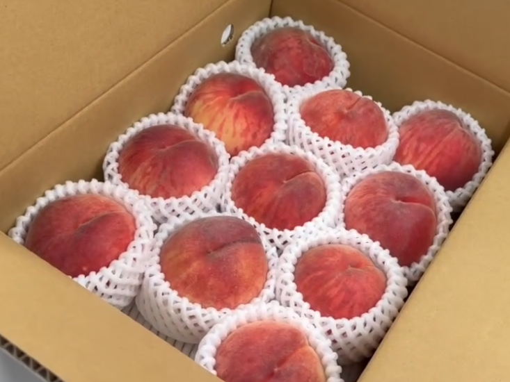 Peaches Arrived from a Graduate