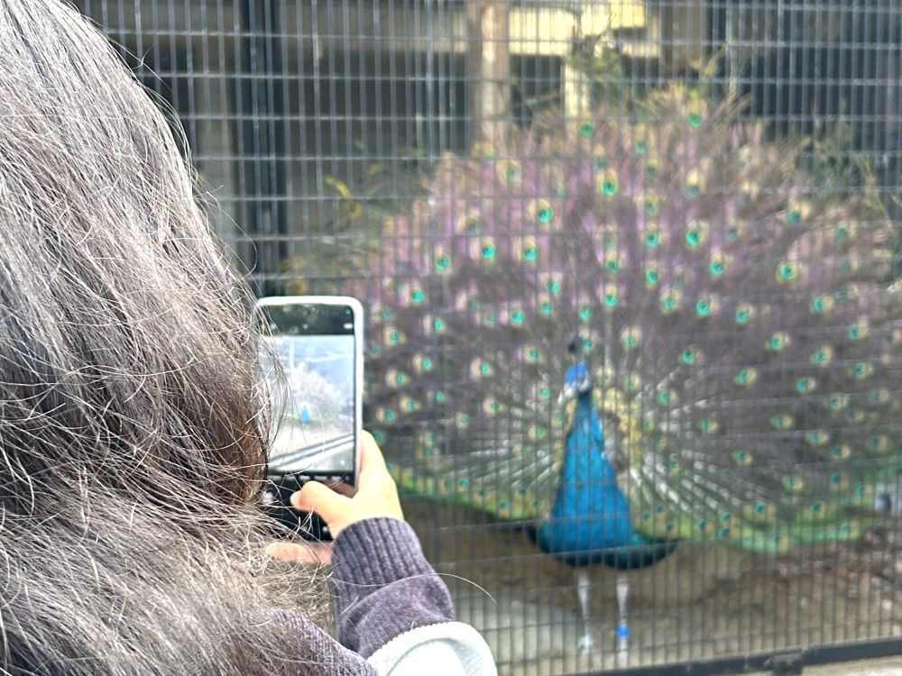 2025 校外教學 [1]