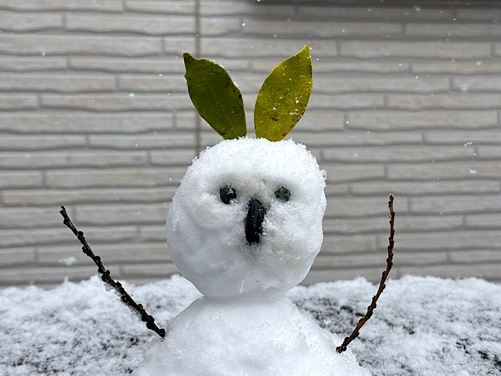 下雪啦！