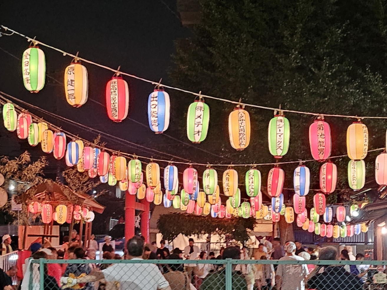 夏休みの思い出 2025